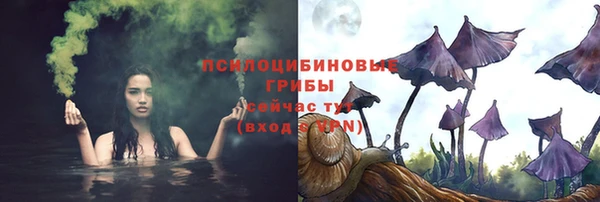 эйфоретик Алзамай