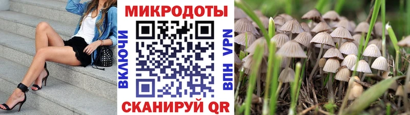 наркошоп  Елизаветинская  Галлюциногенные грибы Cubensis 